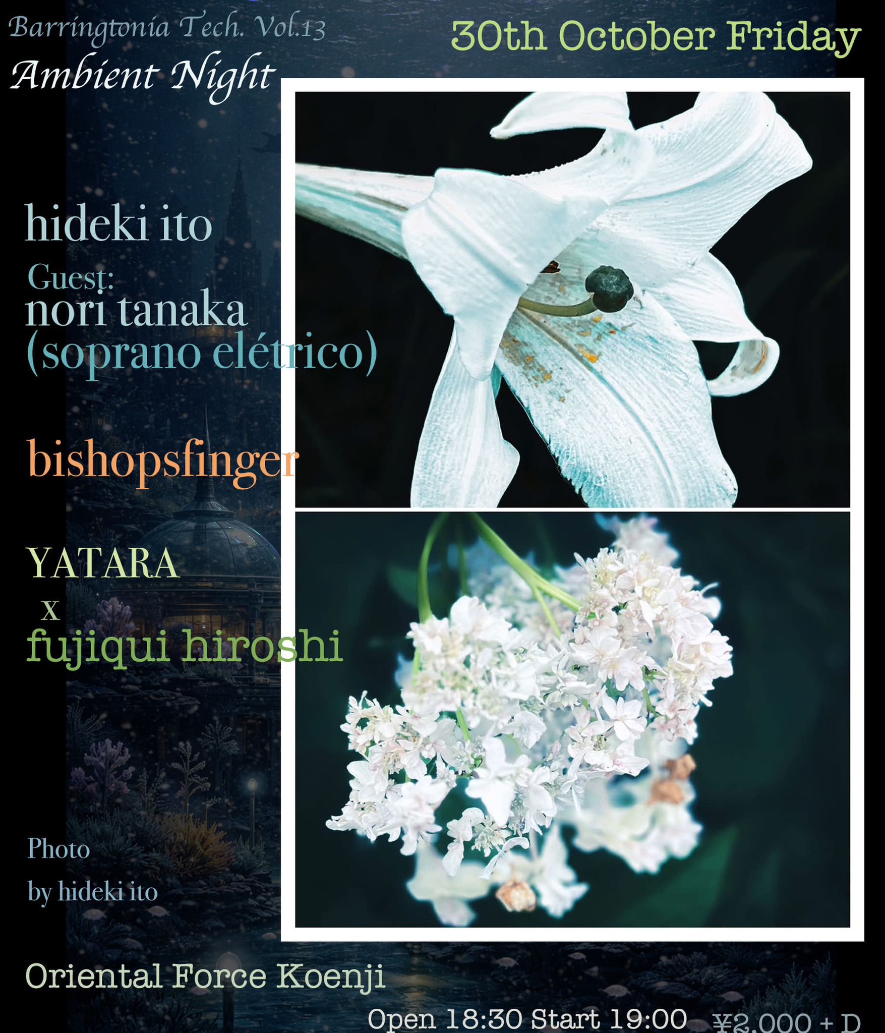 「Barringtonia Tech. Vol.13」Presented by YATARA